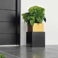 Flora Dekoratif Dış Mekan Saksı Gold